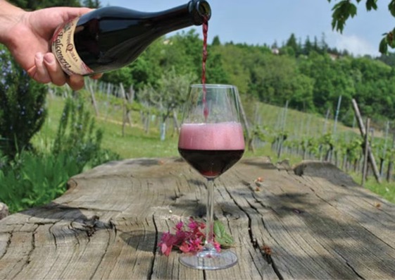 Imagen del vino italiano.